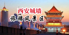 东北操b网操b自视频中国陕西-西安城墙旅游风景区